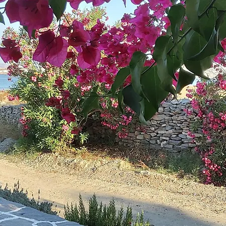 Katikia Malatesta * Kolympithres