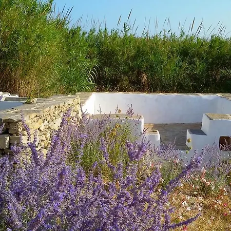 Katikia Malatesta