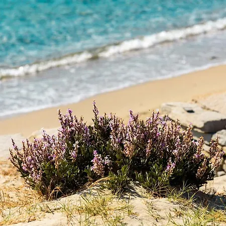 빌라 Katikia Malatesta Kolympithres