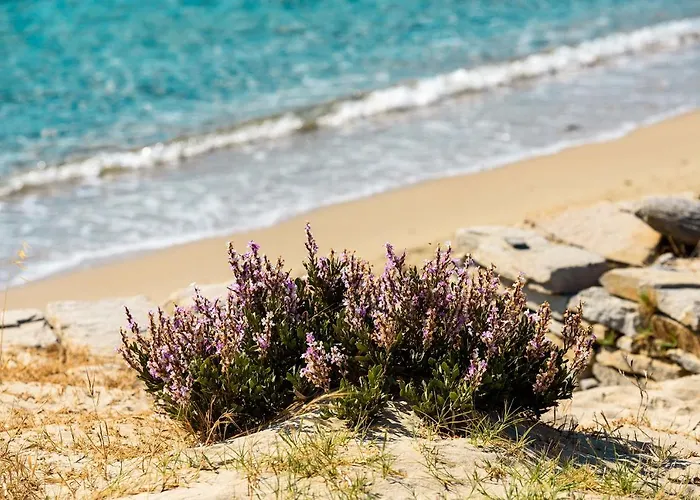 Villa Katikia Malatesta Kolympithres